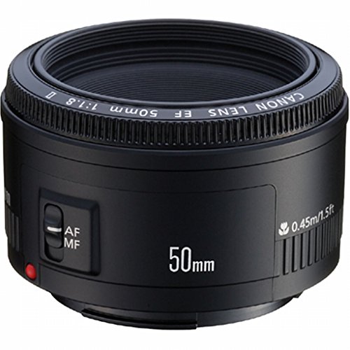 子どもや日常撮影用単焦点レンズはSIGMAの「Art 30mm F1.4 DC HSM」に